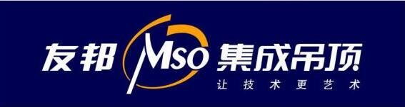 浙江友邦股份 浙江友邦股份